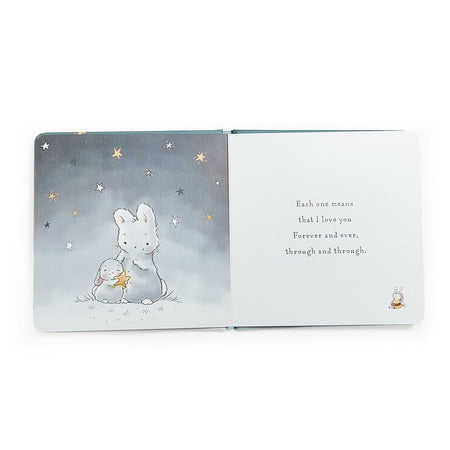 Little Star Board Book Books Bunnies by the Bay