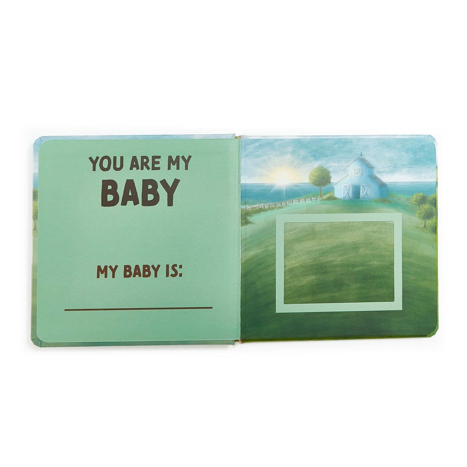 You Are My Baby Board Book Books Bunnies by the Bay