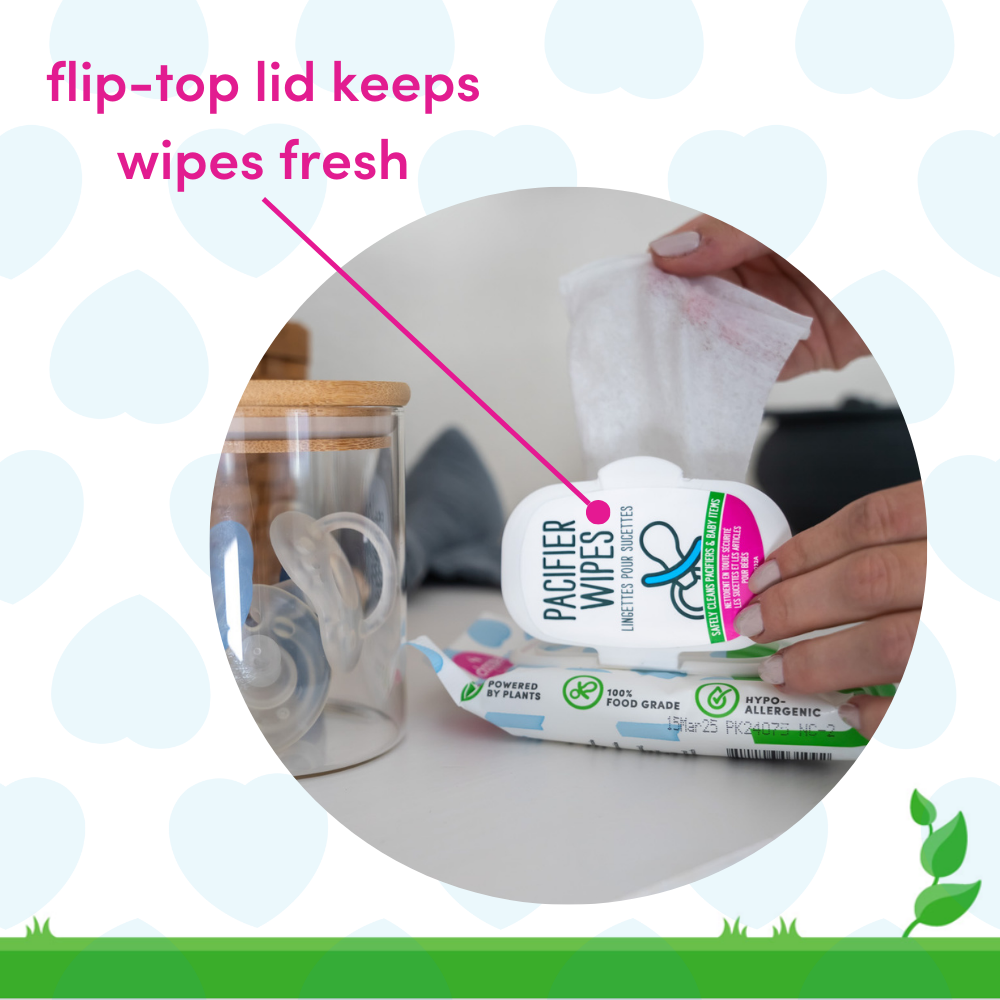 Dapple Pacifier Wipes, Fragrance Free, 40 ct Cleaning Sets Earth Mama Organics