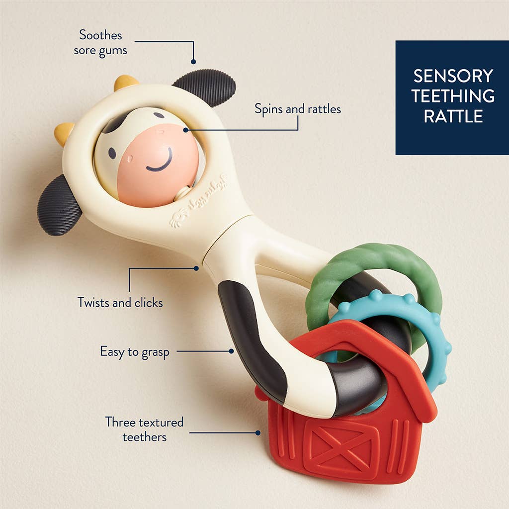 Itzy Spinner™ Toys - Infant Itzy Ritzy
