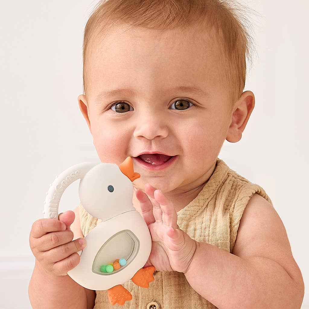 Bitzy Shake™ - Silicone Teether with Rattle Pacifiers & Teethers Itzy Ritzy