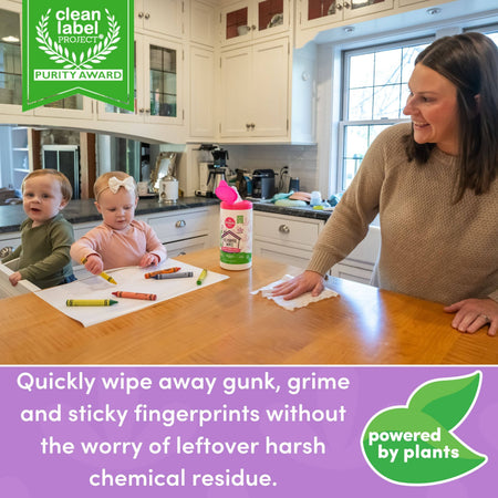 Dapple All Purpose Cleaner Wipes, Lavender, 75ct Cleaning Sets Earth Mama Organics