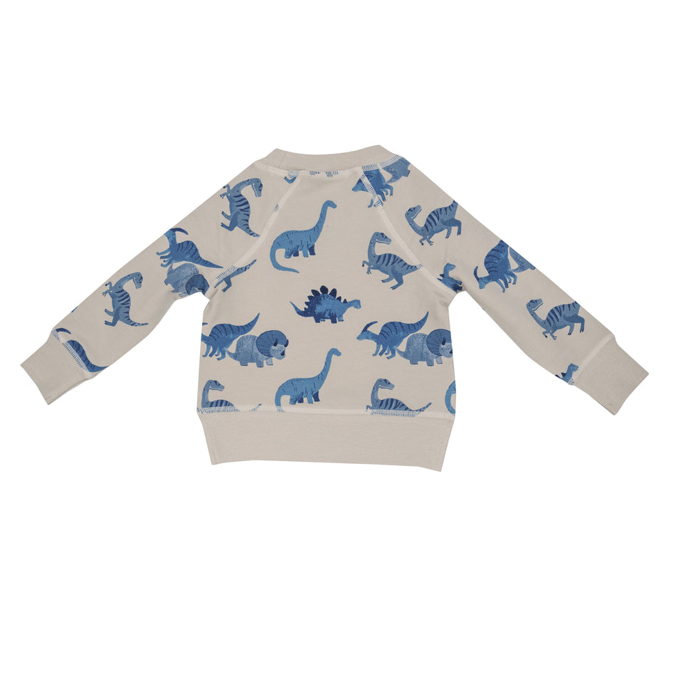Dino French Terry Raglan Sweatshirt & Jogger Set