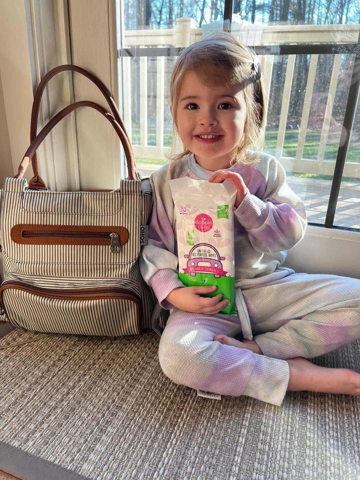Dapple On the Go Wipes, Lavender, 30ct Cleaning Sets Earth Mama Organics