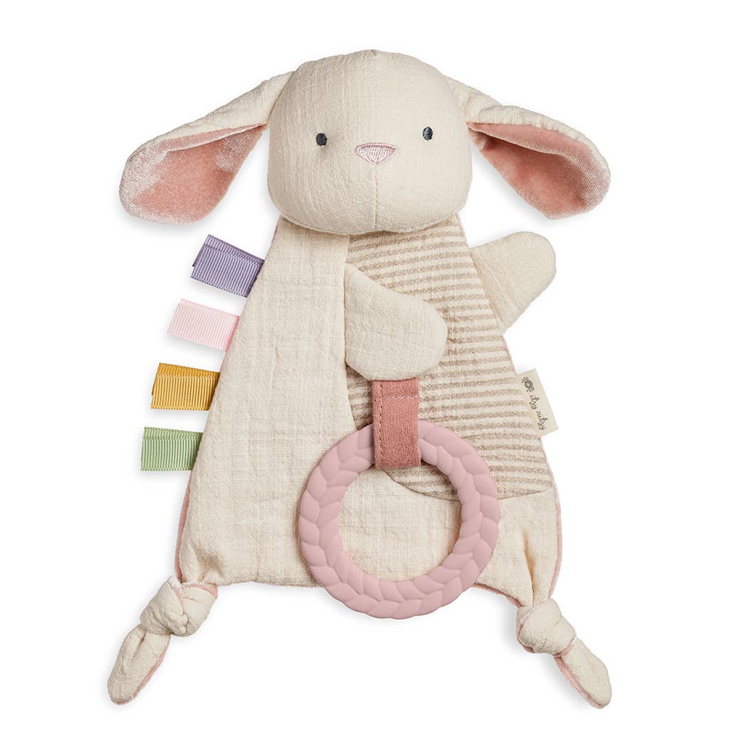 Bitzy Crinkle™ Sensory Toy with Teether Pacifiers & Teethers Itzy Ritzy