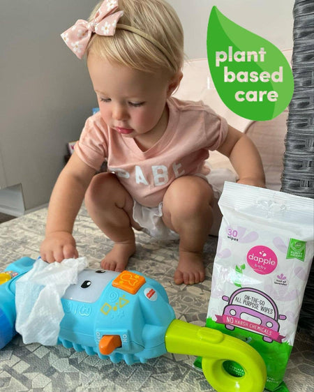 Dapple On the Go Wipes, Lavender, 30ct Cleaning Sets Earth Mama Organics