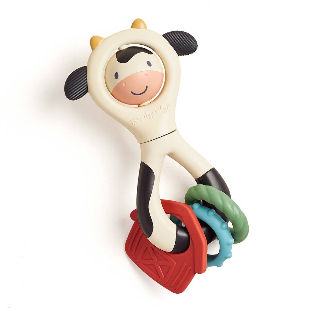 Itzy Spinner™ Toys - Infant Itzy Ritzy
