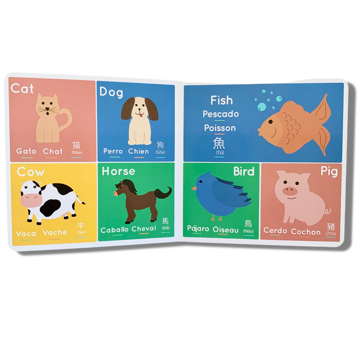 Little Lingo: A language book for kids