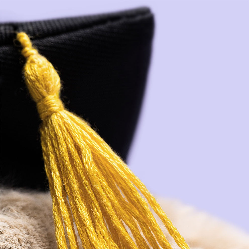 Bashful Bunny Graduation Outfit Stuffed Animals Jellycat