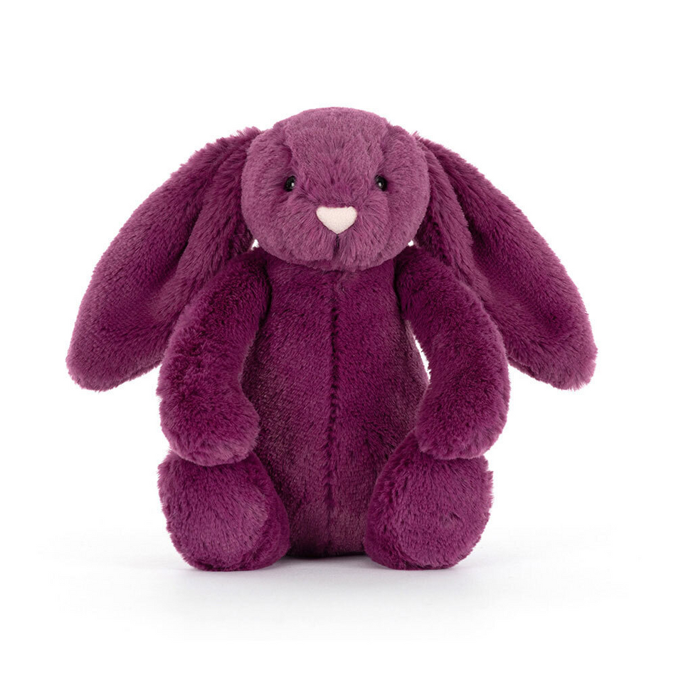 Bashful Allium Bunny Little