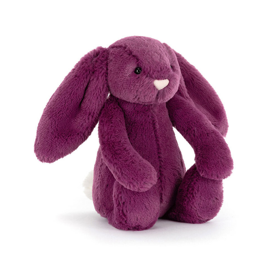 Bashful Allium Bunny Little