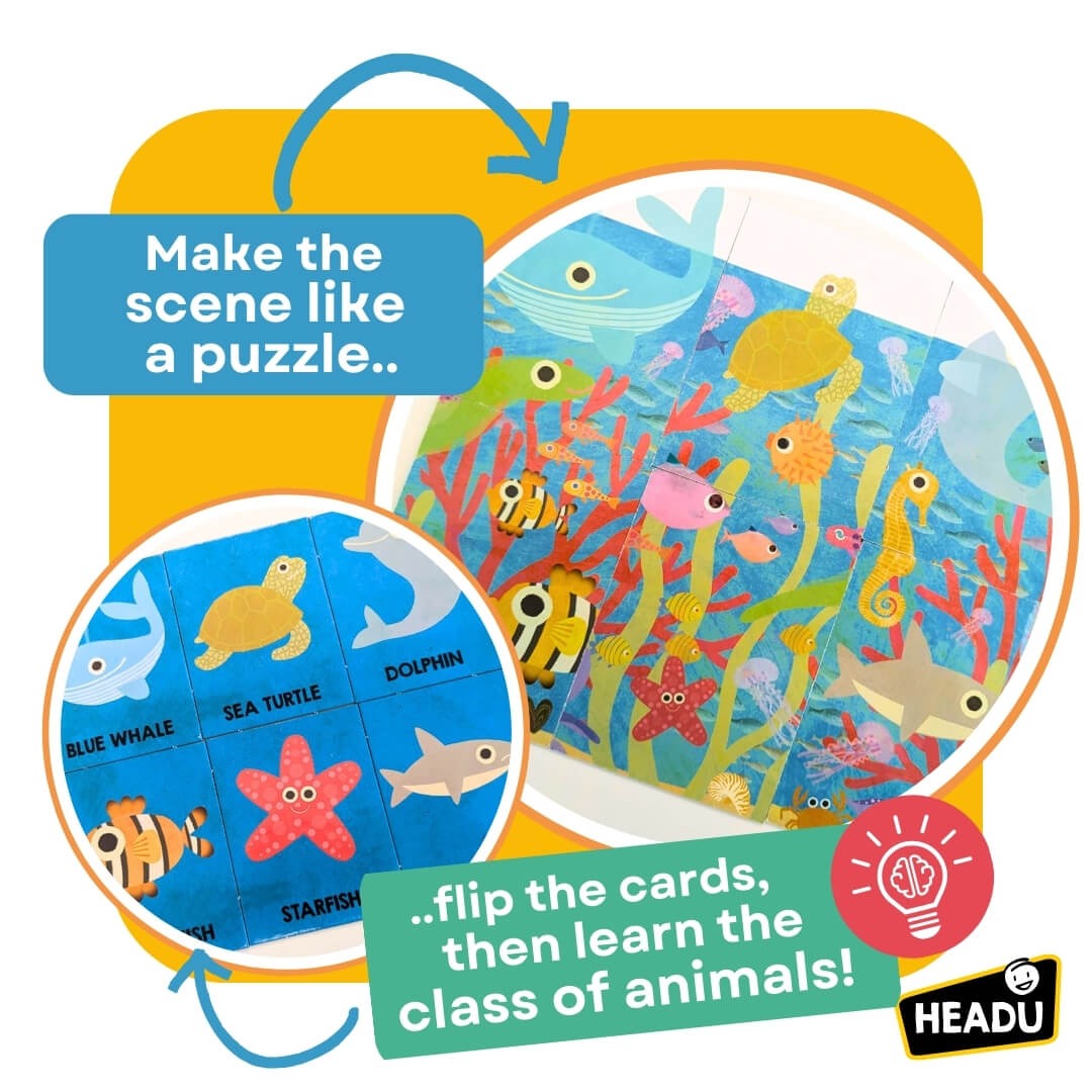 Montessori Flashcards First Animal Encyclopedia Educational Toys Headu