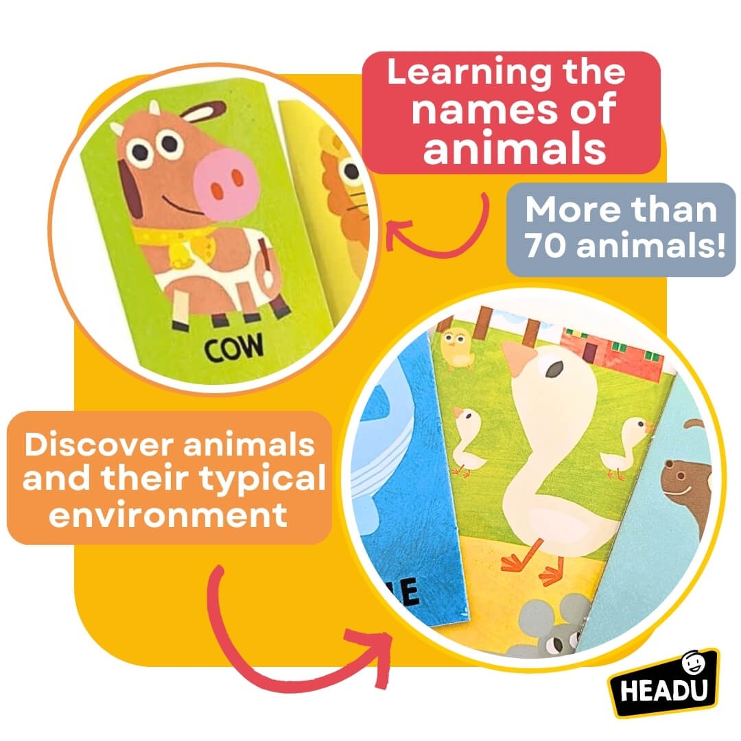 Montessori Flashcards First Animal Encyclopedia Educational Toys Headu