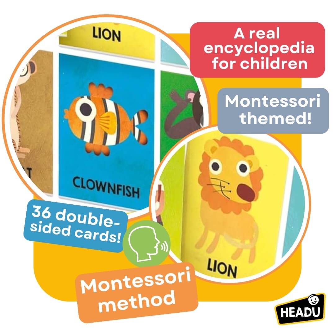 Montessori Flashcards First Animal Encyclopedia Educational Toys Headu