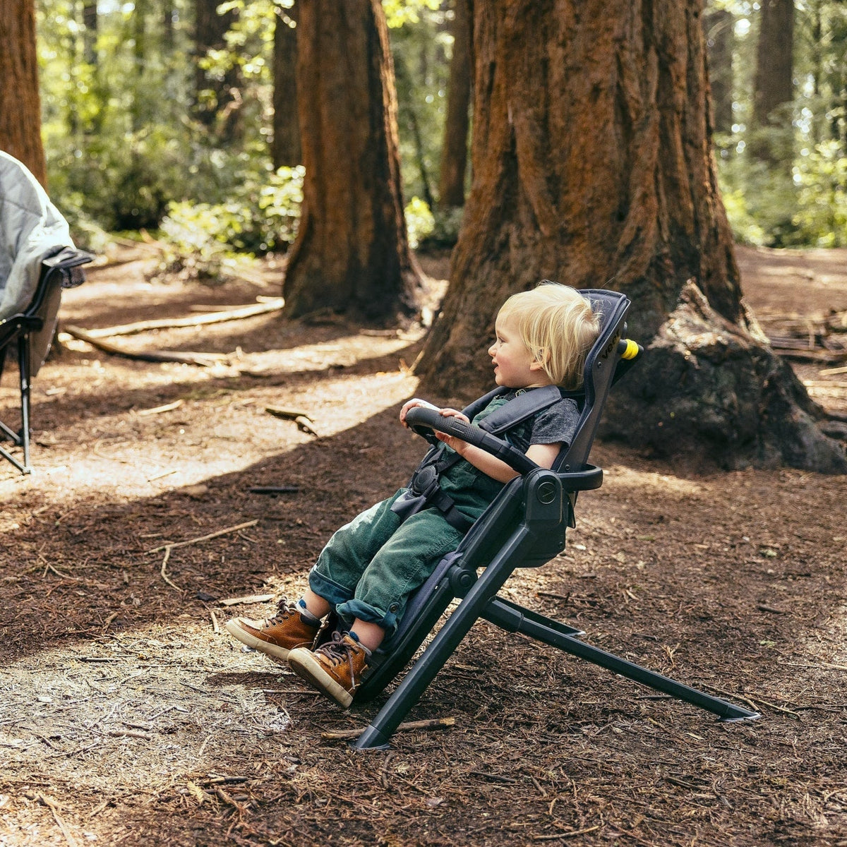 Switchback Seat Luxe Stroller Accessories Veer