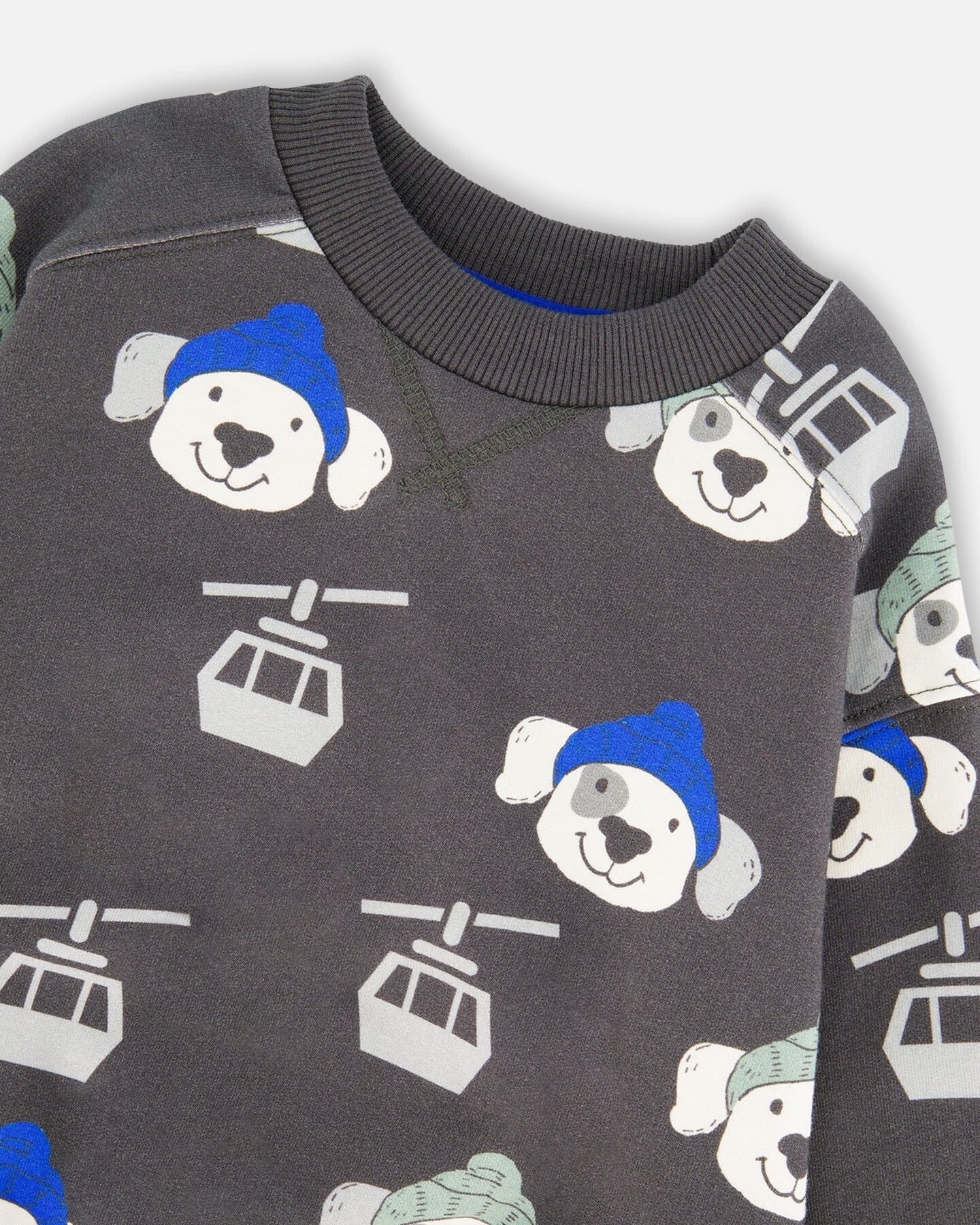 Grey Fleece Pullover Sweatshirt + Sweat Pant Set - Dogs with Beanie Clothing - Boys Outfits deux par deux