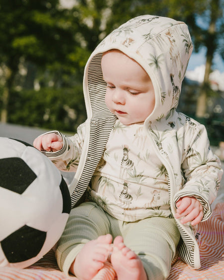 Organic Cotton Jersey T-Shirt And Cotton Rib Pants Set Beige Zebra Print And Sage Green Clothing - Infant deux par deux