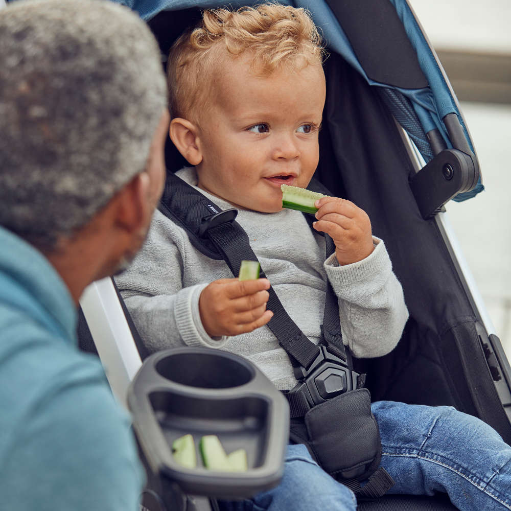 Spring Snack Tray Snack Trays / Bumper Bars Thule