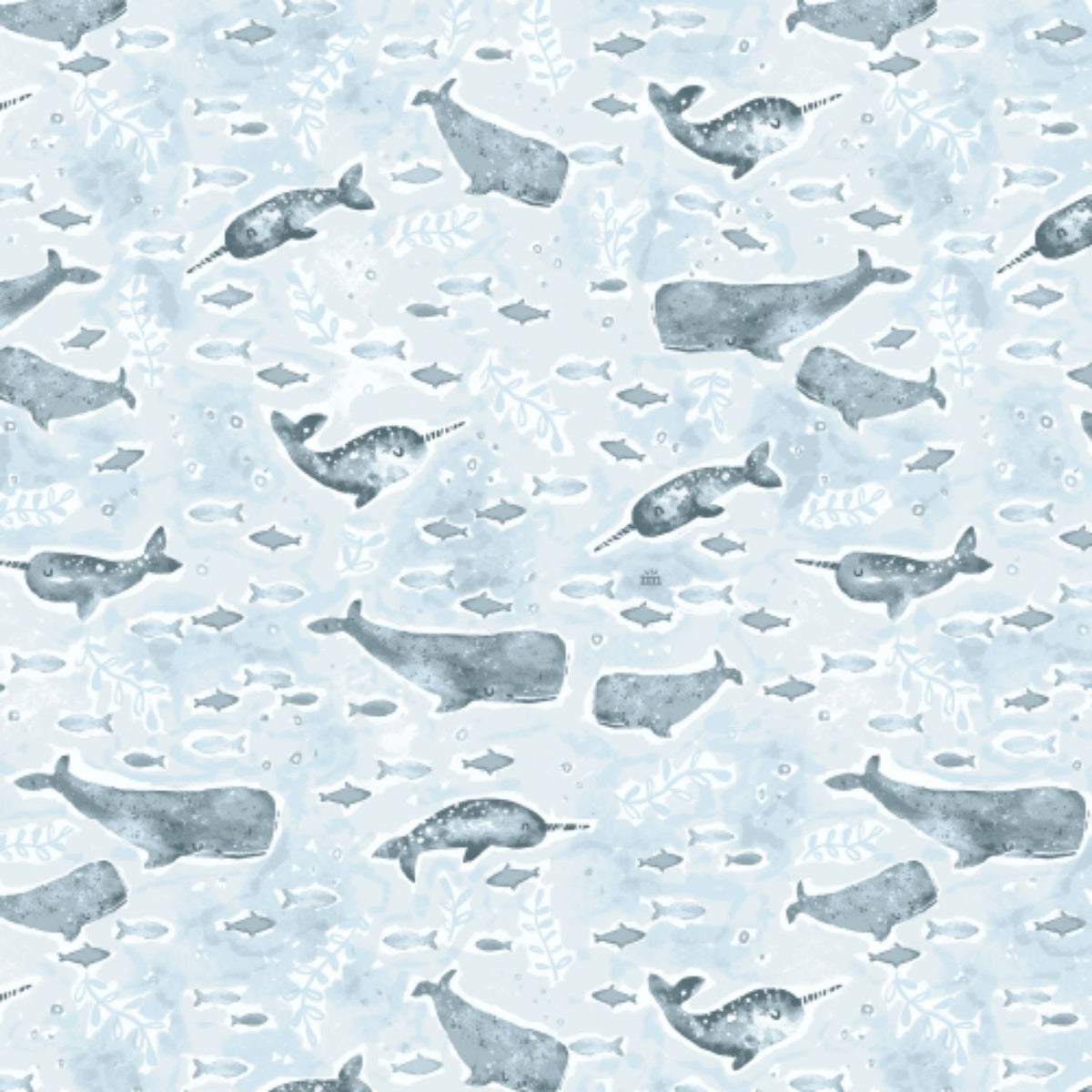 fanta-sea cove modal modal magnetic footie Footies Magnetic Me