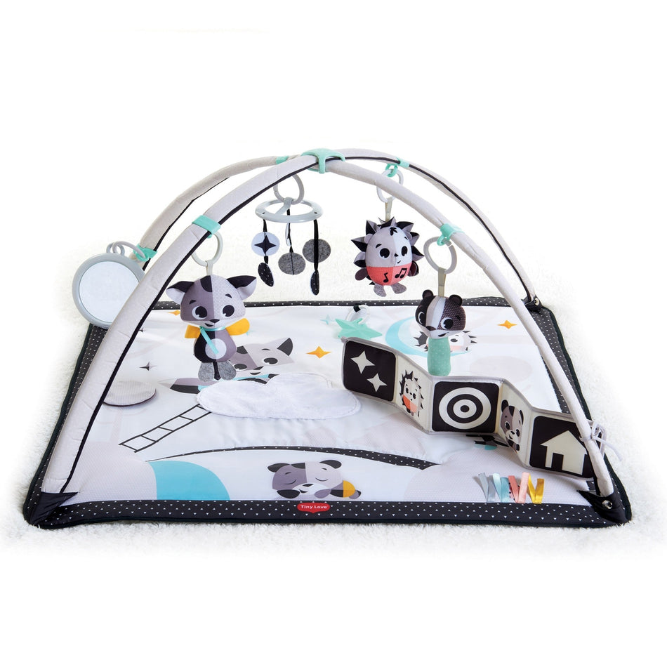 Magical Tales Black & White Gymini