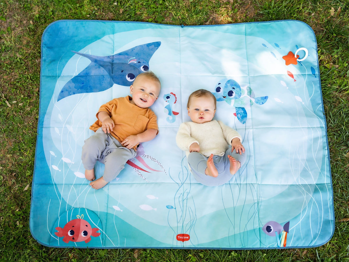 Outdoor Picnic Mat Toys - Infant Tiny Love