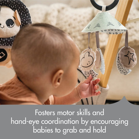 Black & White Gymini Toys - Infant Tiny Love