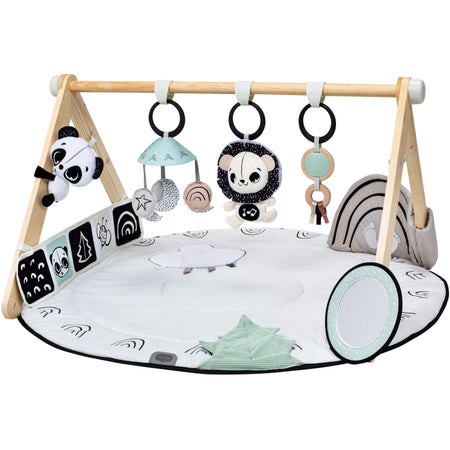 Black & White Gymini Toys - Infant Tiny Love
