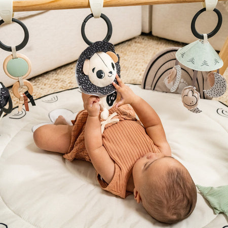 Black & White Gymini Toys - Infant Tiny Love