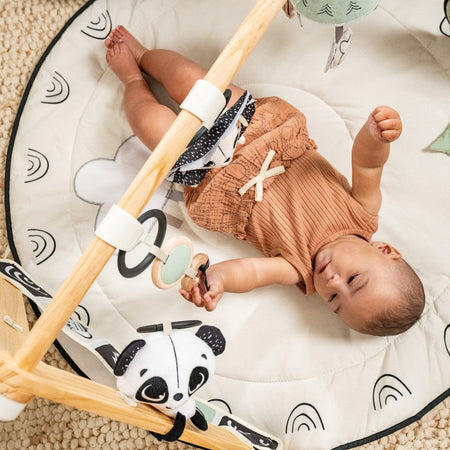 Black & White Gymini Toys - Infant Tiny Love