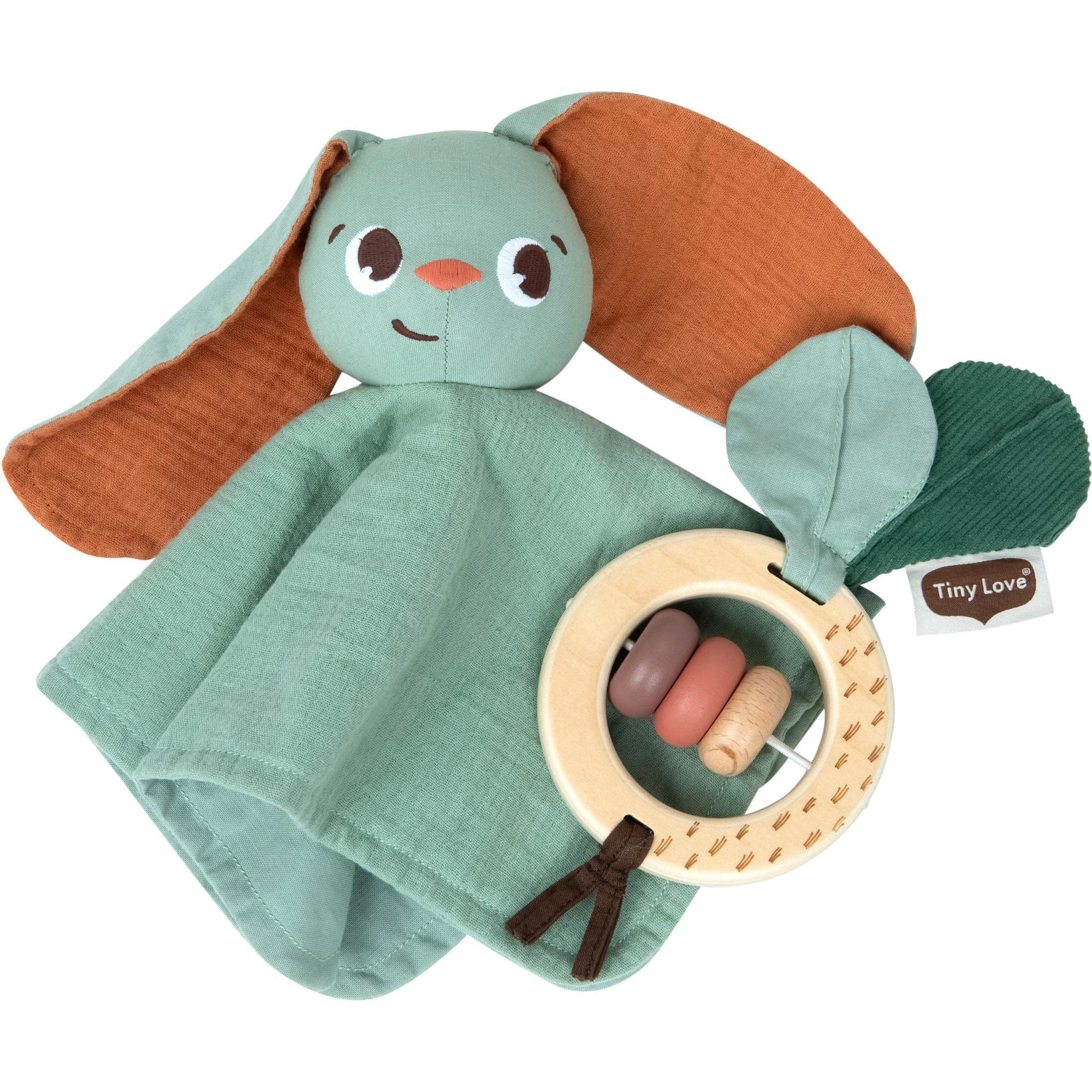 Gift Set | Garden of Adventures Toys - Infant Tiny Love