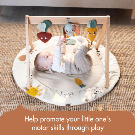 Luxe Developmental Gymini | Garden of Adventures Toys - Infant Tiny Love