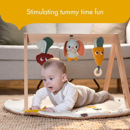 Luxe Developmental Gymini | Garden of Adventures Toys - Infant Tiny Love