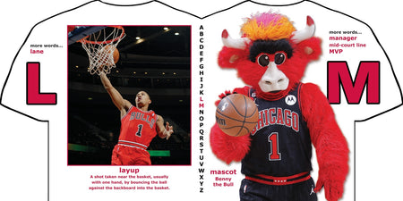 Chicago Bulls ABC Books Michaelson Entertainment
