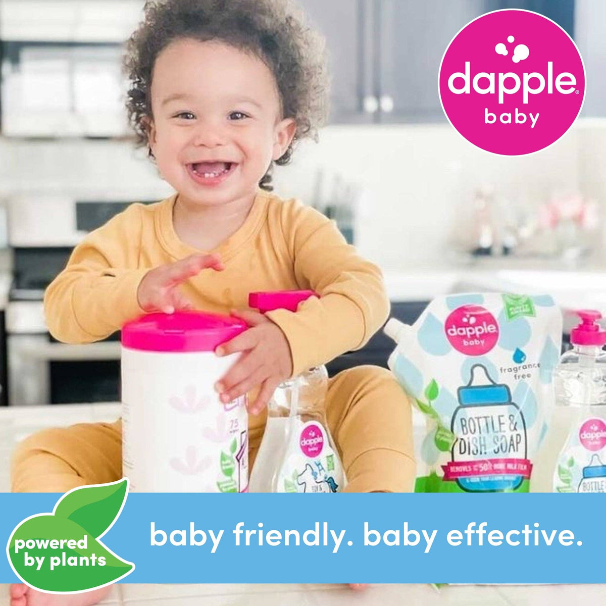 Dapple Pacifier Wipes, Fragrance Free, 40 ct Cleaning Sets Earth Mama Organics