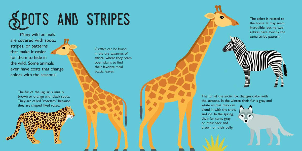 Panoramic Pop-Ups: Wild Animals by Editors of Silver Dolphin Books Books Simon & Schuster
