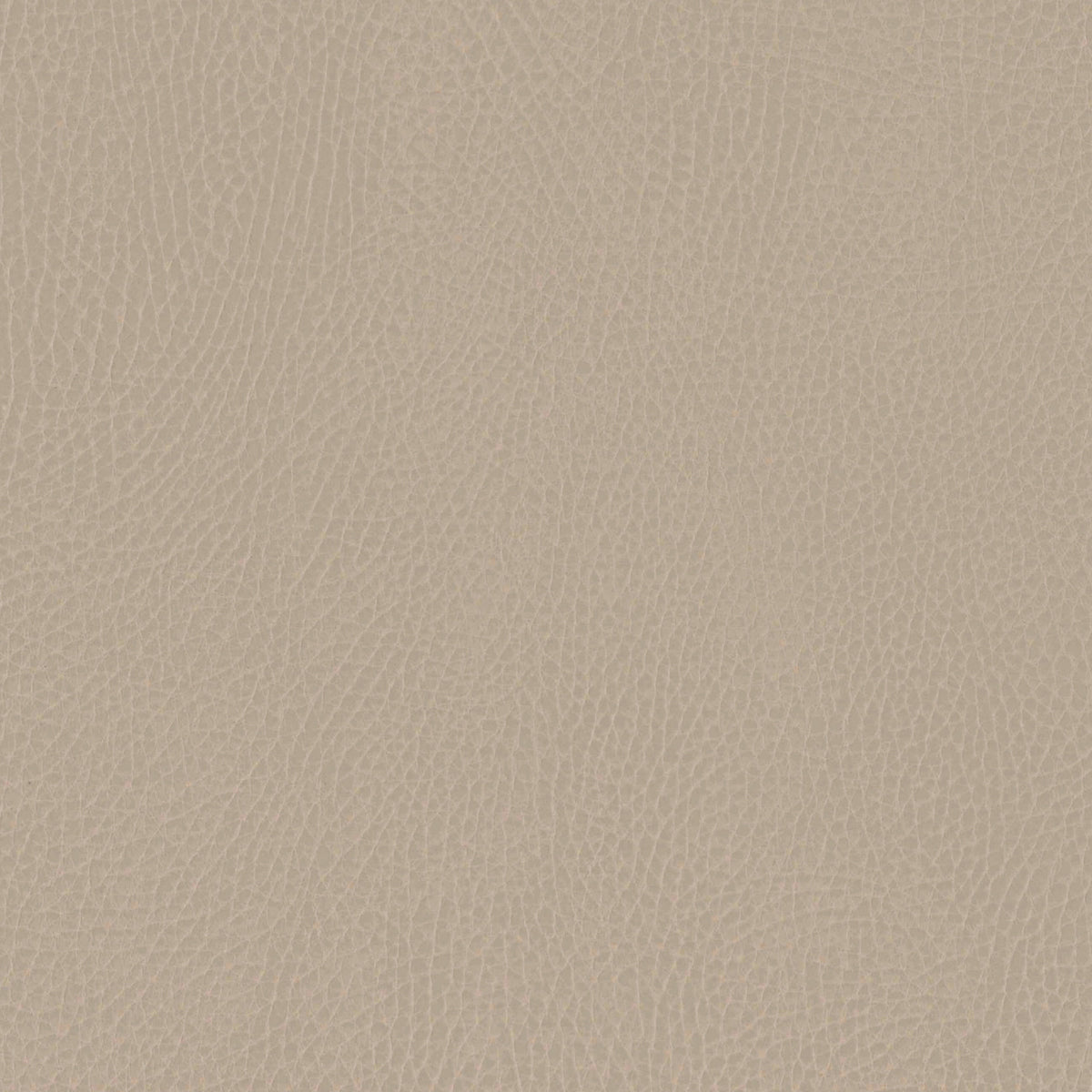 M26834GMLB,Babyletto,babyletto x GATHRE Capsule Bassinet in Millet