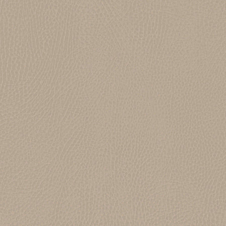 M26834GMLB,Babyletto,babyletto x GATHRE Capsule Bassinet in Millet