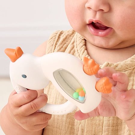 Bitzy Shake™ - Silicone Teether with Rattle Pacifiers & Teethers Itzy Ritzy