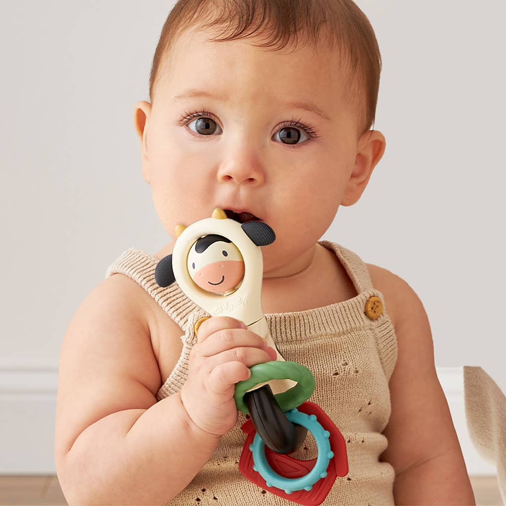 Itzy Spinner™ Toys - Infant Itzy Ritzy