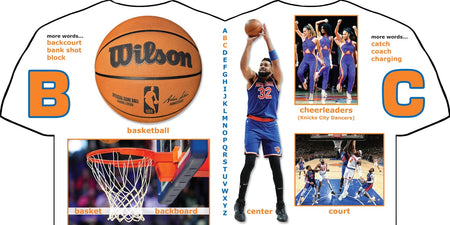 New York Knicks ABC Books Michaelson Entertainment