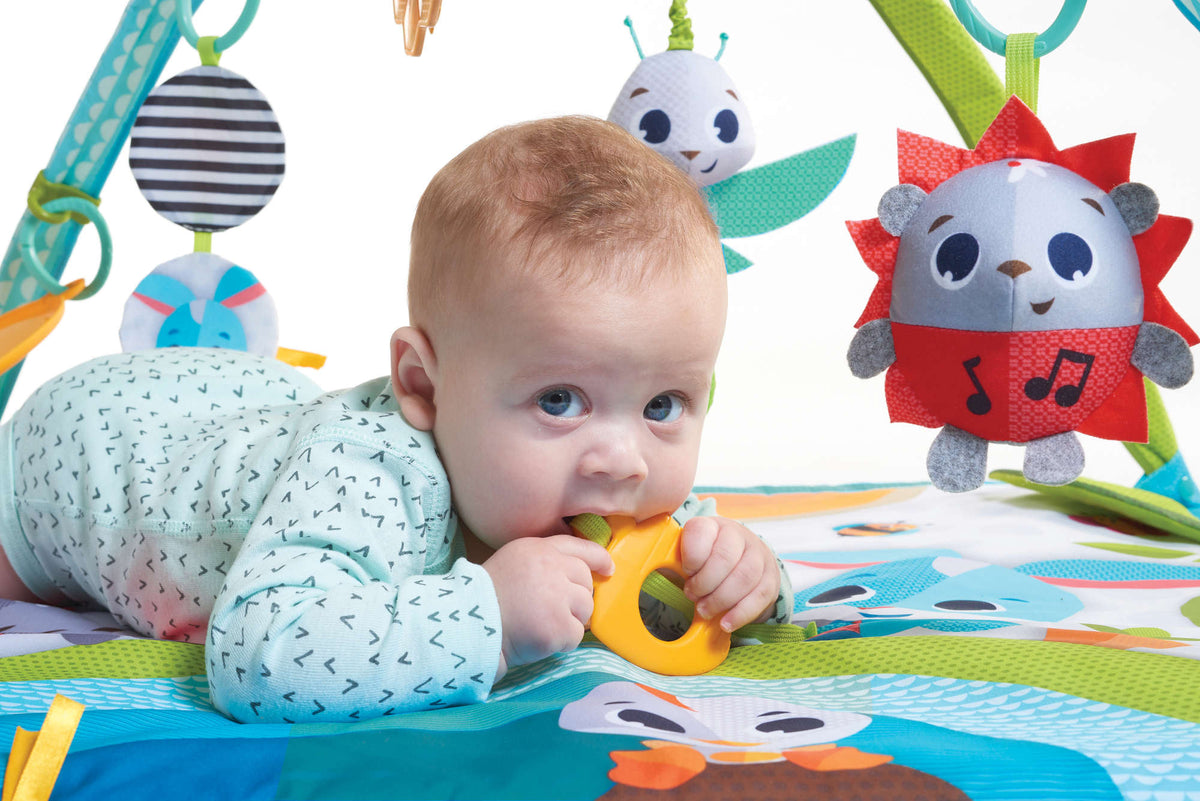 Meadow Days Sunny Day Gymini Toys - Infant Tiny Love