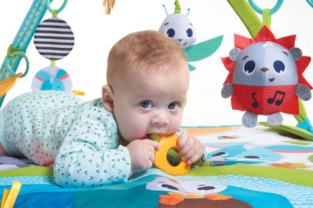 Meadow Days Sunny Day Gymini Toys - Infant Tiny Love