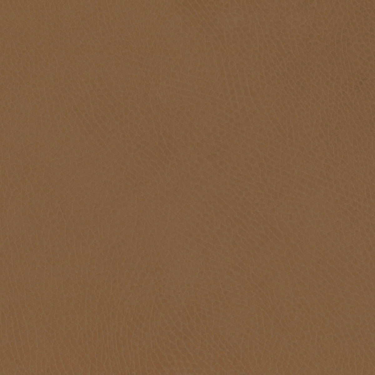 M26834GCLB,Babyletto,babyletto x GATHRE Capsule Bassinet in Camel