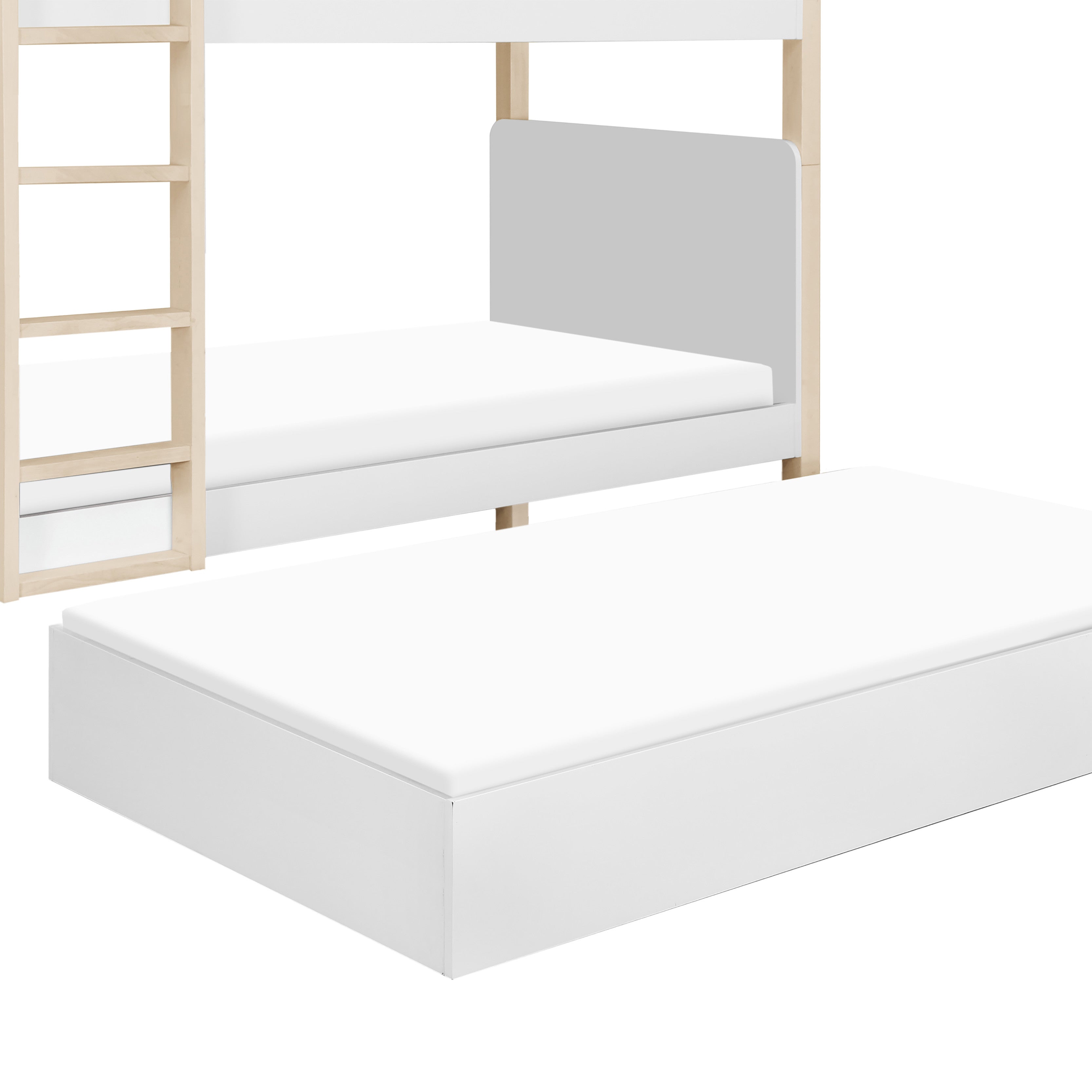TipToe Convertible Bunk Bed Beds - Bunk Babyletto