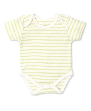 Basics Stripes Short Sleeve Bodysuit - Green