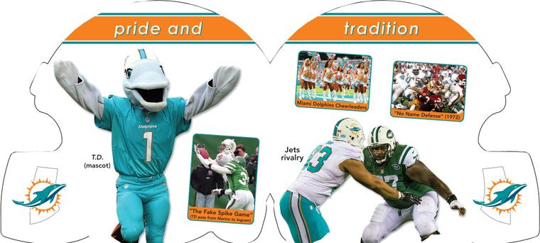 Miami Dolphins 101