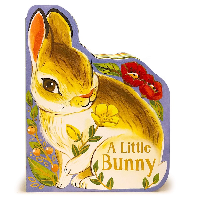 Cottage Door Press A Little Bunny Board Book