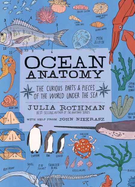 Workman Publishing Ocean Anatomy