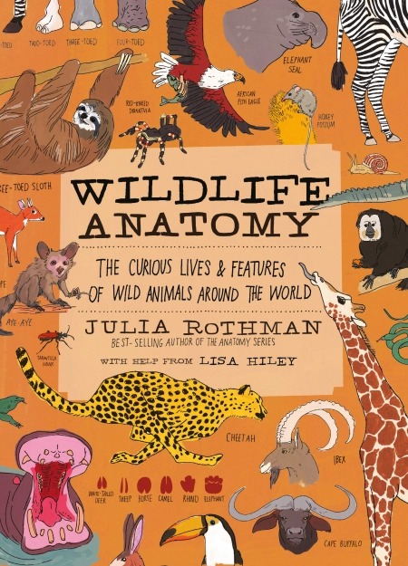 Workman Wildlife Anatomy The Curious Lives & Features