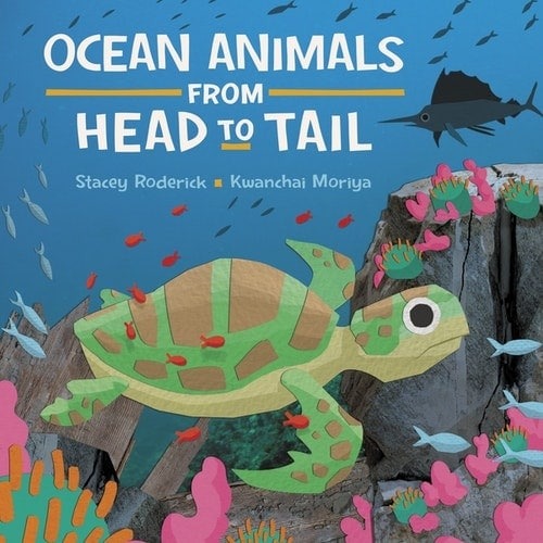 Workman Publishing Ocean Animals from Head to Tail